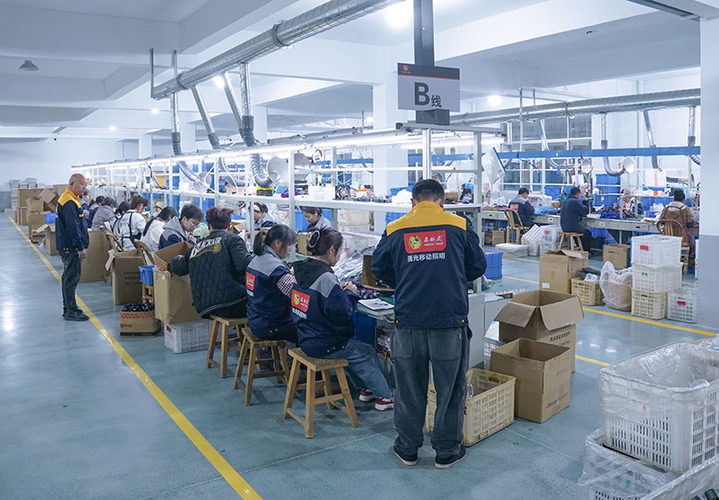 Forest Tiger LED Flashlight Assembly Line - ISO 9001 Factory