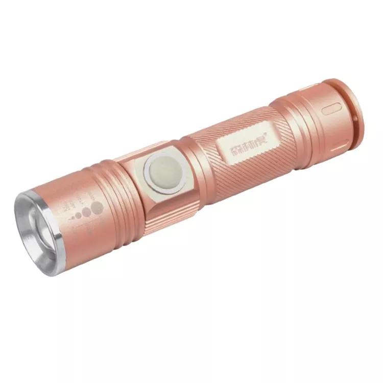 Mini LED-zaklamp sleutelhanger Heldere LED voor dagelijks gebruik Camping